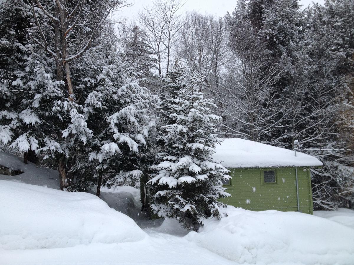 The Woods Lodge Northfield Exteriör bild