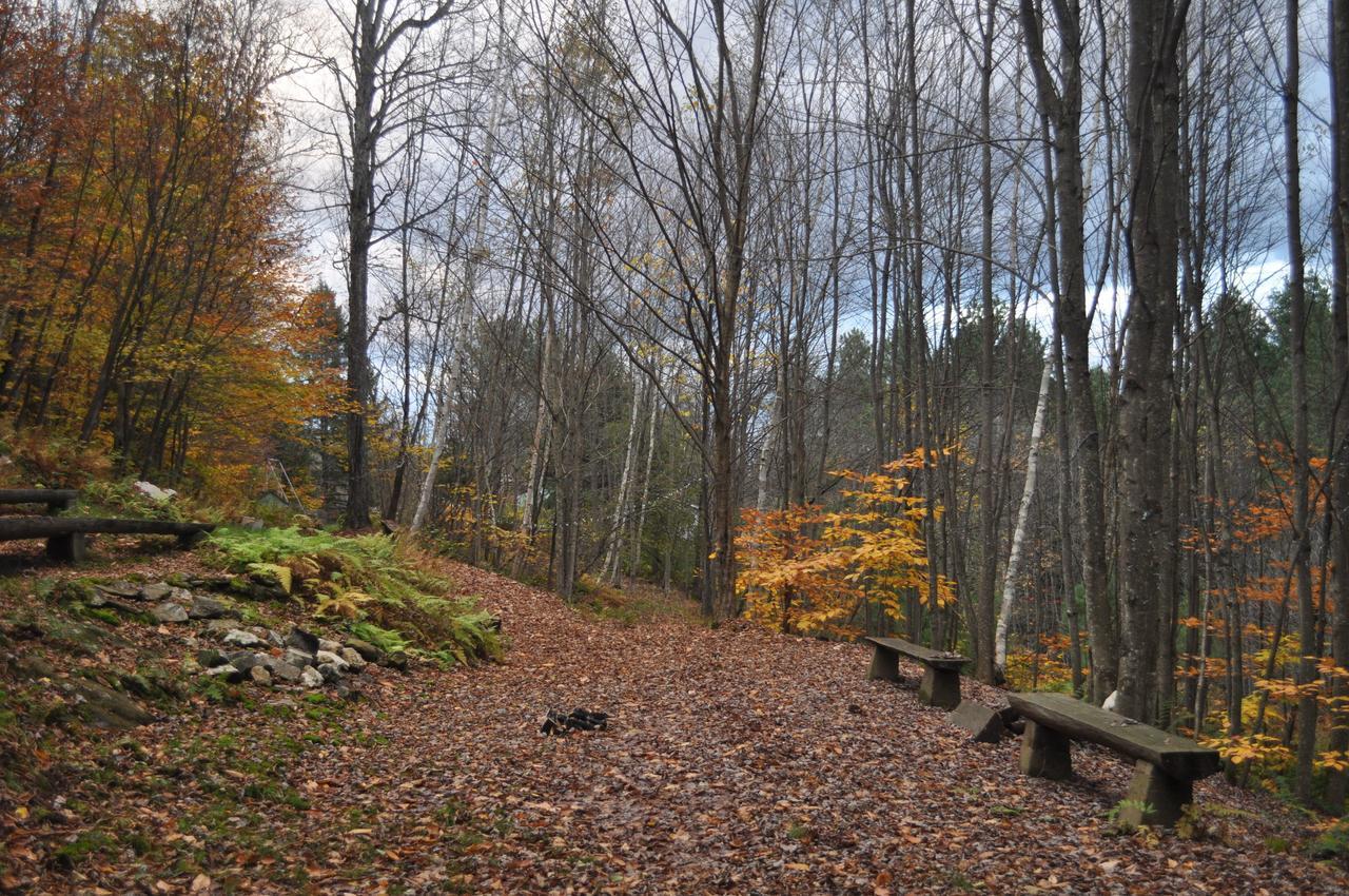 The Woods Lodge Northfield Exteriör bild